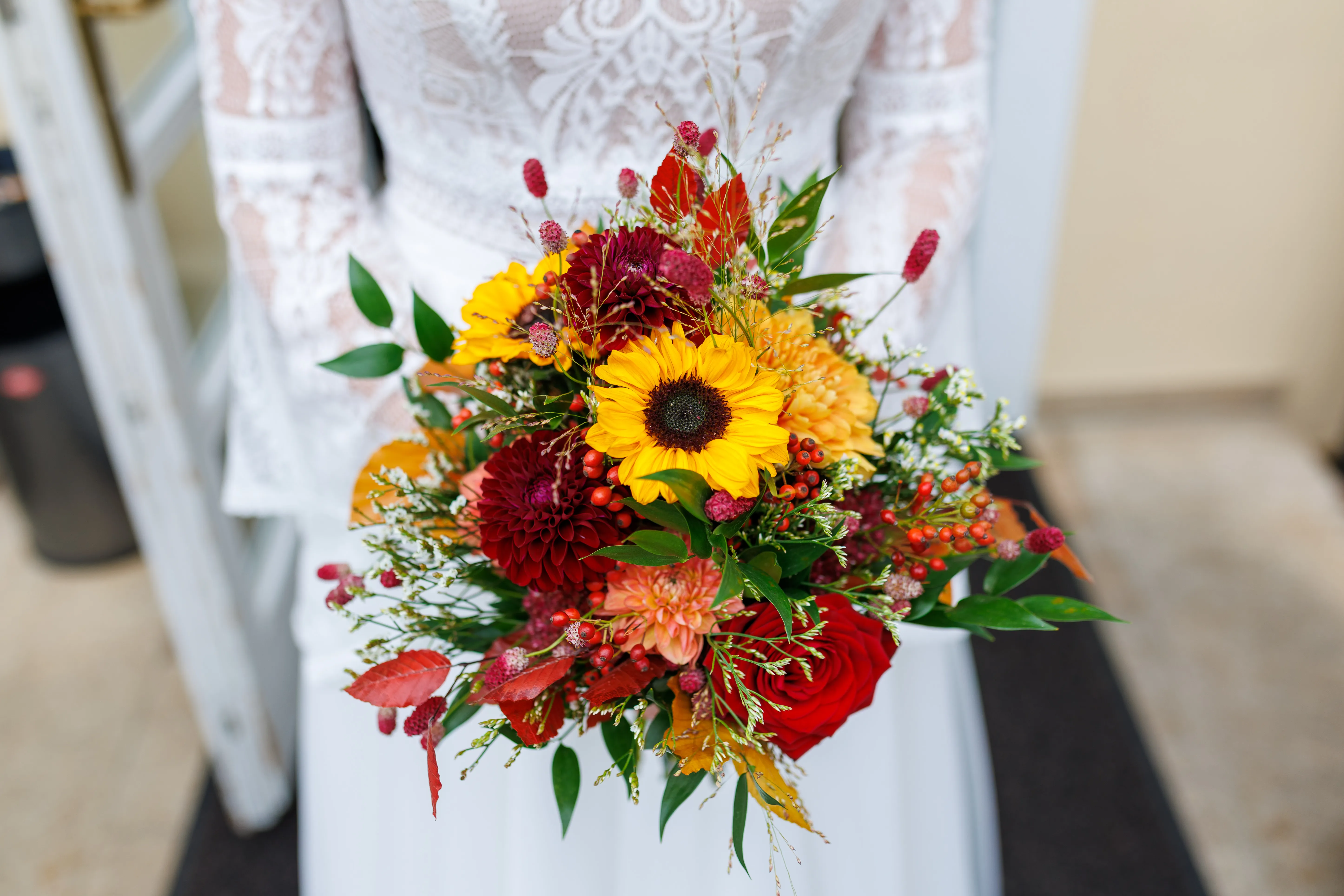 Steve Photography – 35 ergebnis